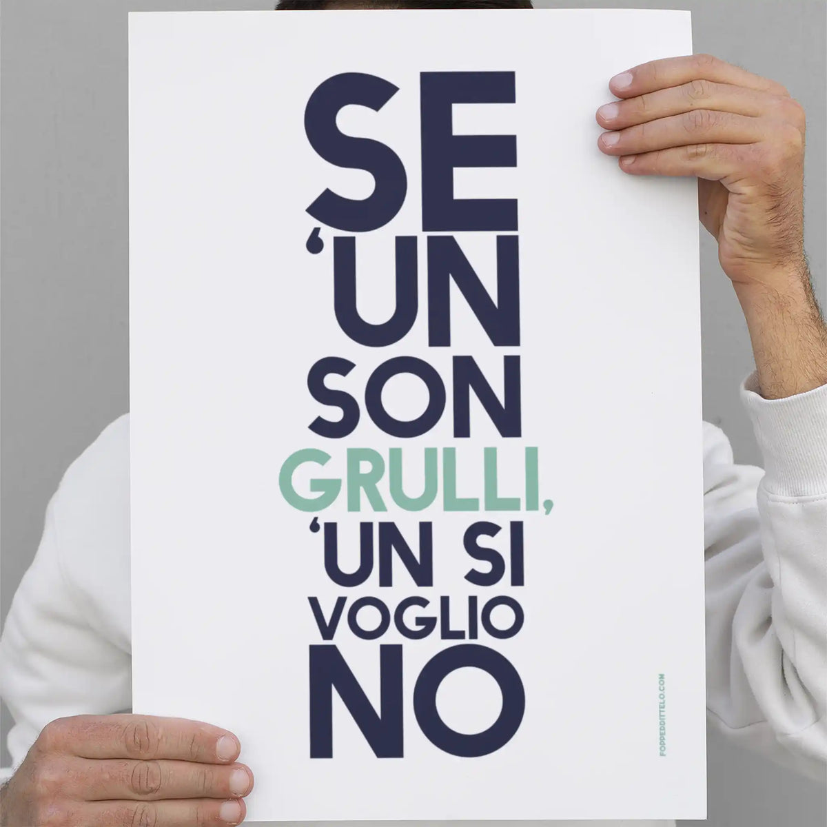 SE NON SON GRULLI.. - poster fiorentini - poster firenze - regalo fiorentino - fiorentino - foppeddittelo